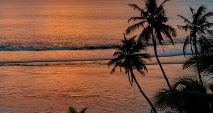 Coral Castle Guest House