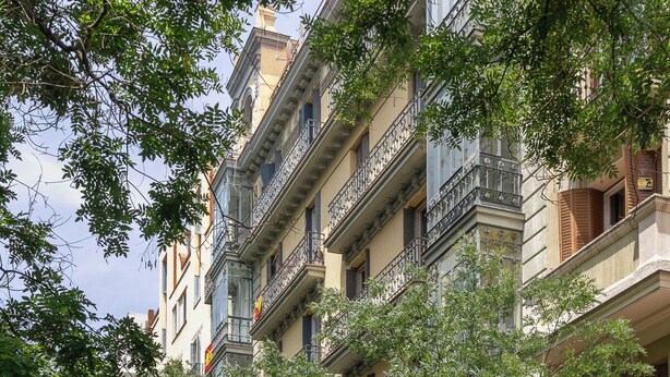 Una calle bordeada de árboles y bicicletas aparcadas.