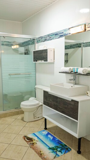 Chuveiro, secador de cabelo, toalhas de banho 