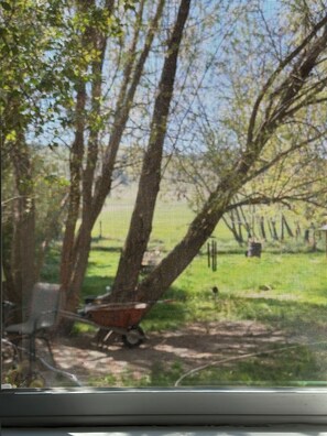 Interior - Lakefront Fun Vacation on the best lake in NW Montana with your own Dock & Beach (Marion)