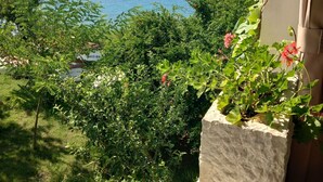Ein üppiger Garten mit verschiedenen Pflanzen und einem Steinpflanzgefäß.