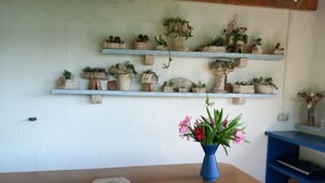 Ein Zimmer mit einem Holztisch, einer blauen Vase mit rosa Blumen und Regalen mit verschiedenen Topfpflanzen.