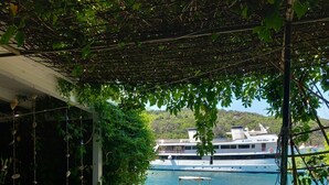 Vista de un río con un barco grande amarrado en el muelle, rodeado de vegetación y una zona cubierta con adornos colgantes.