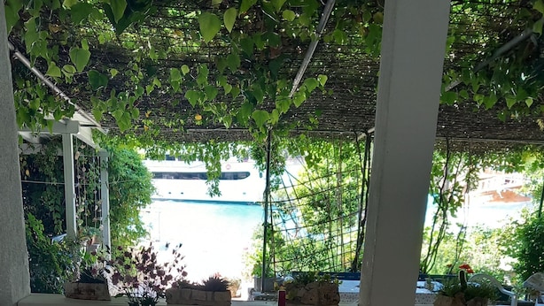 Un espacio exterior cubierto con vistas a una piscina y un barco, rodeado de follaje y plantas en macetas.