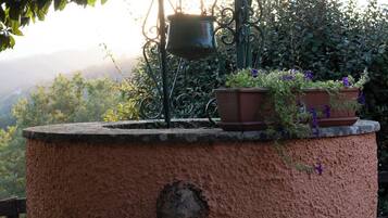 A rustic outdoor water feature with a hanging pot and potted plants, set against a backdrop of greenery and hills.
