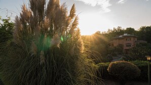 Una casa con jardín, rodeada de hierbas altas y árboles.