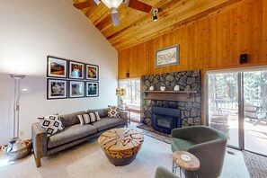 Télévision, cheminée, livres