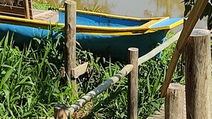 Eine Holzbrücke führt zu einem Teich mit einem blauen Boot und einem weißen Vogel auf einem Pfosten.