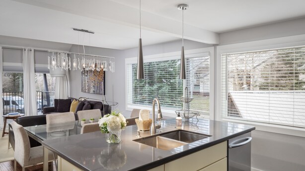 A modern kitchen with a central island, stainless steel appliances, and large windows. - Elk View Basecamp - Wildlife and convenience!, Perfect basecamp - wildlife views just minutes to dow... (Telluride)