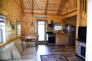 TV, fireplace, DVD player