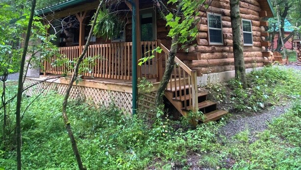 Eine rustikale Holzhütte mit einer Holzdiele und einem grünen Dach, umgeben von dichtem Wald.