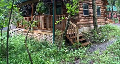 Sleepy Bear Log Cabin near Cook Forest State Park