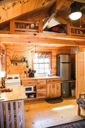 Fridge, microwave, stovetop, coffee/tea maker - Tiny Bear Log Cabin near Cook Forest State Park (Leeper)