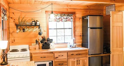Tiny Bear Log Cabin near Cook Forest State Park