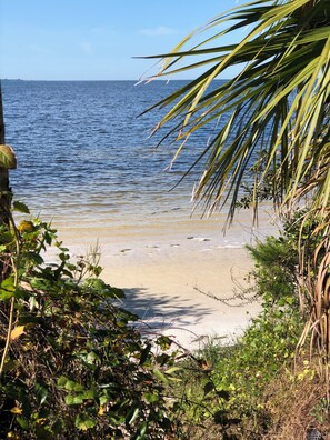 Beach - Tampa Heights Bungalow (Tampa)