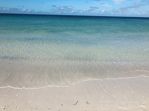 Tampa Heights Bungalow