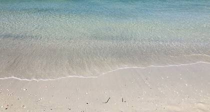 Tampa Heights Bungalow