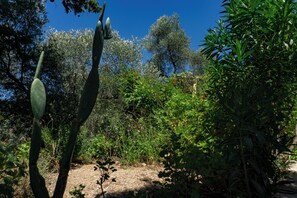 Property grounds - Cottage home at South Chania, near Paliochora

 (8M9Q+4M3 Grigoriana)