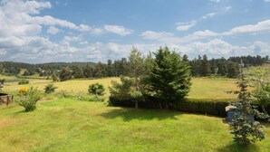 A grassy field with trees and a clear sky. - Apartment 4/6 persons (AUMONT-AUBRAC)