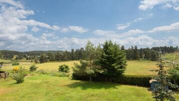 3 slaapkamers, gratis wifi