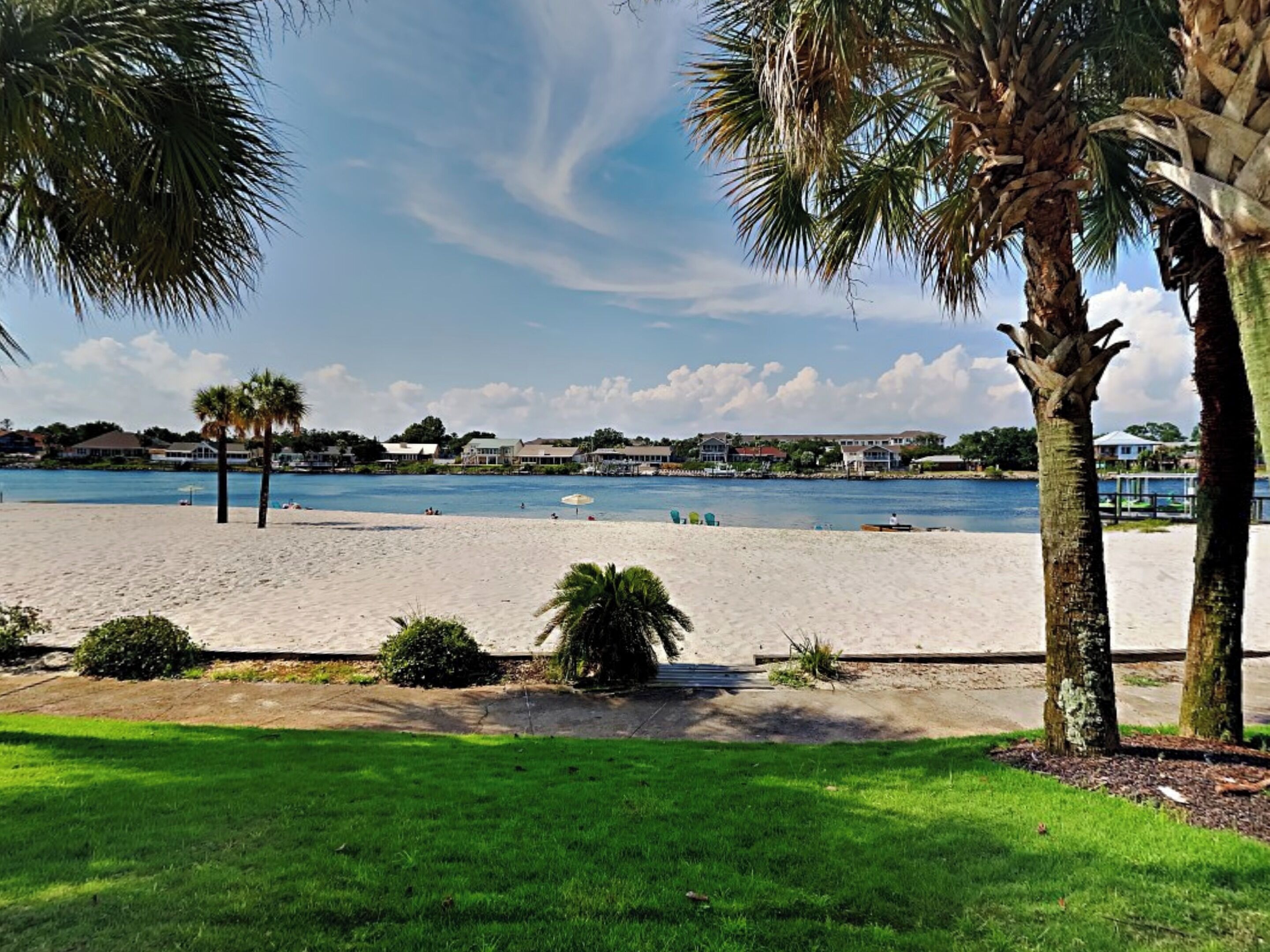 Une plage offrant une vue dégagée sur l’eau, avec des palmiers et des maisons en arrière-plan.