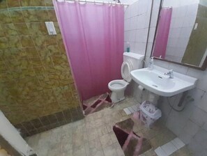 Shower, hair dryer - Central apartment in Otrabanda (Willemstad)