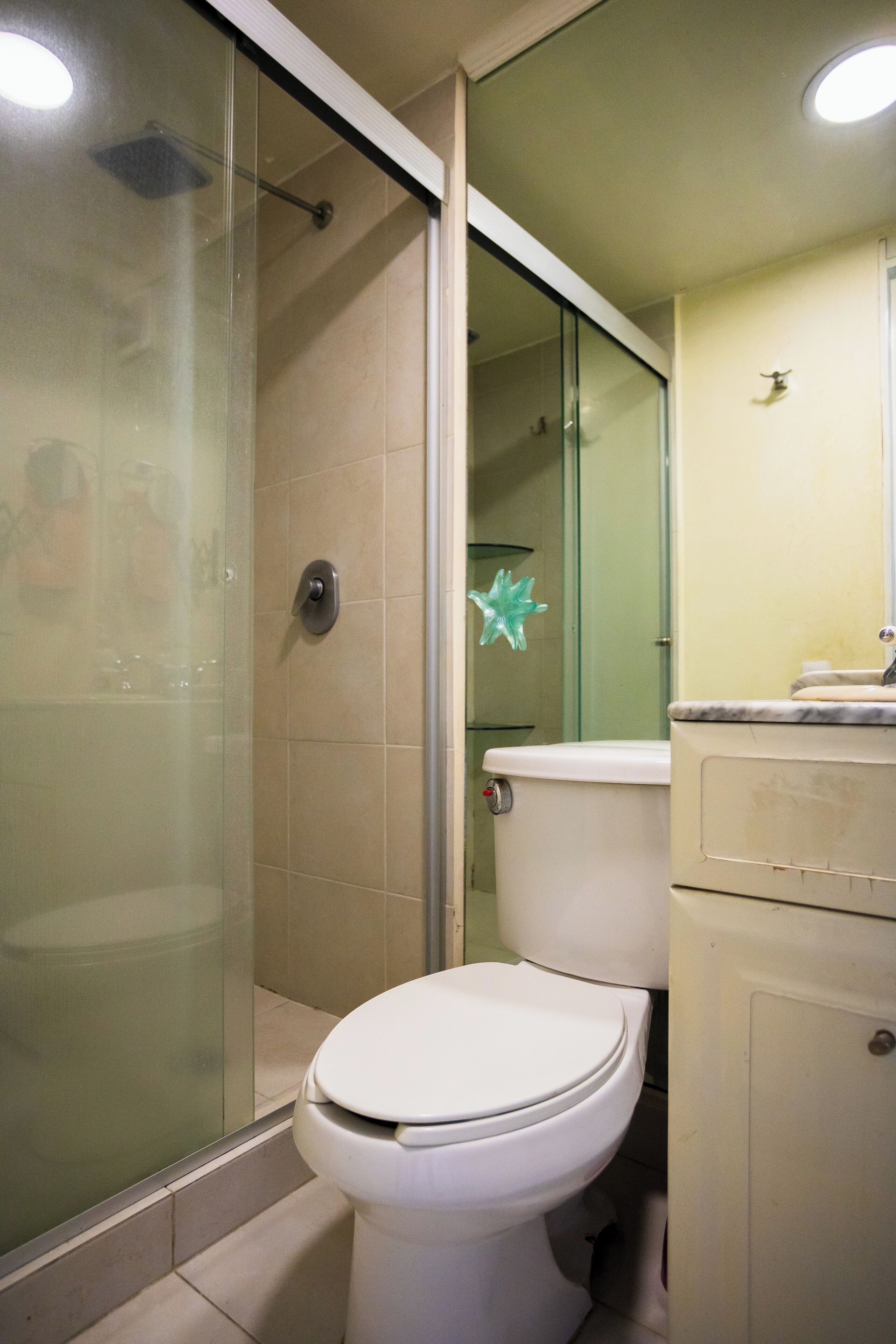 A bathroom with a glass-enclosed shower, a toilet, and a vanity with a mirror.