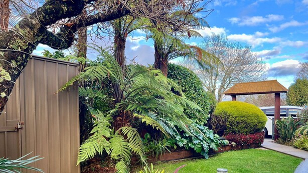 A garden with a wooden deck, a shed, and a gazebo. - Home with spa, sauna, garden in prime location (Rotorua)