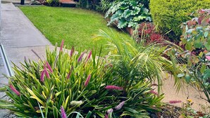 A well-maintained garden with various plants and a neatly trimmed hedge. - Home with spa, sauna, garden in prime location (Rotorua)