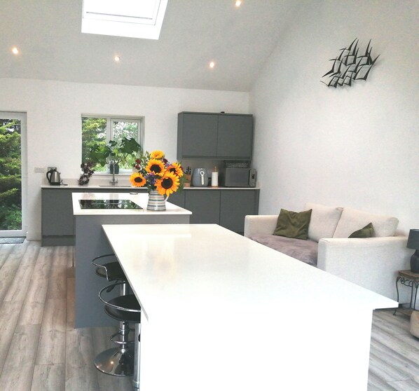 House | Private kitchen | Fridge, microwave, oven, stovetop
