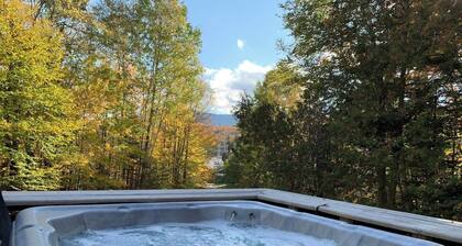 Walk to Pickle Barrel & Jax. Hot tub & Views