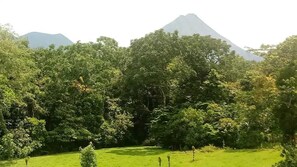 Miscellaneous - Cabaña Refugio, located in the middle of nature. (La Fortuna)
