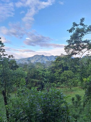 2 slaapkamers, wifi, beddengoed