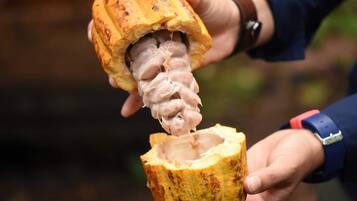 Ruoka ja juoma