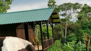 A cow grazing in a lush green field with a wooden structure in the background. - Cabaña Refugio, located in the middle of nature. (La Fortuna)