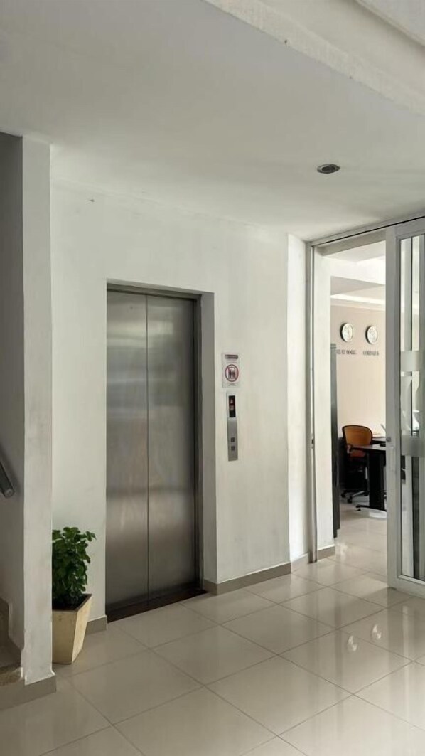 A modern elevator in a hallway with a potted plant nearby.