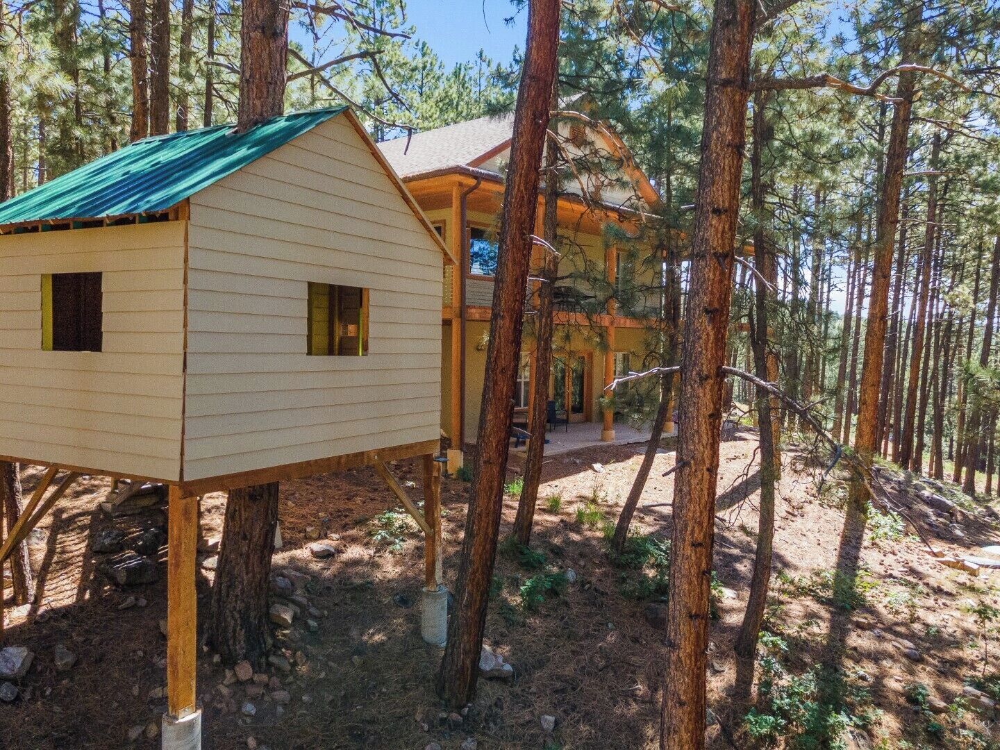 Une cabane dotée d’un toit végétalisé et d’une petite structure attenante, entourée de grands pins.
