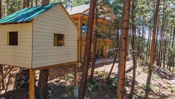 Une cabane dotée d’un toit végétalisé et d’une petite structure attenante, entourée de grands pins.