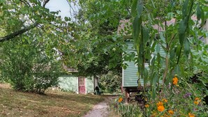 Ein Kiesweg führt zu einem Haus mit grüner Tür, umgeben von Pflanzen und orangefarbenen Blumen.