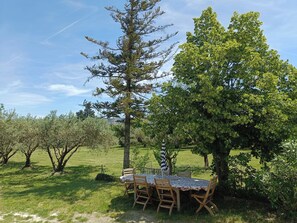 Outdoor dining - Quiet country house surrounded by olive trees, at the foot of the Luberon in Provence. (Cheval-Blanc)