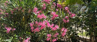 Gîte Lavande*Clim*Terrace*Community pool