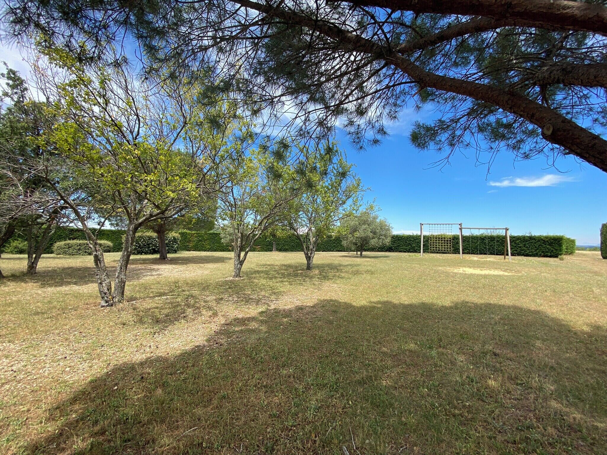 A grassy outdoor area with trees and a wooden swing set.