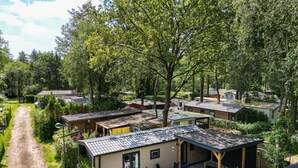 Een woonwijk met meerdere huizen, een onverharde pad en weelderige begroeiing.