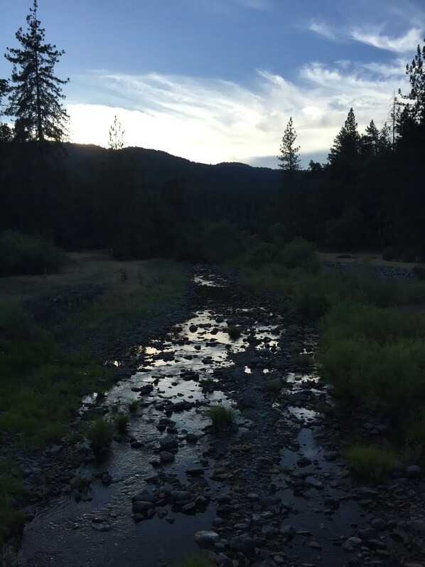 A river flowing through a forested area with trees on both sides.