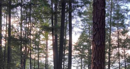 Hull Mt. Cabins Off the Grid Wilderness Retreat (Entire place)