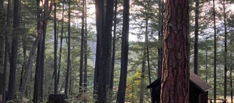 Hull Mt. Cabins Off the Grid Wilderness Retreat (Entire place)