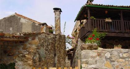 Conforto e Tranquilidade Junto de Praia Fluvial no Verde do Pinhal Interior