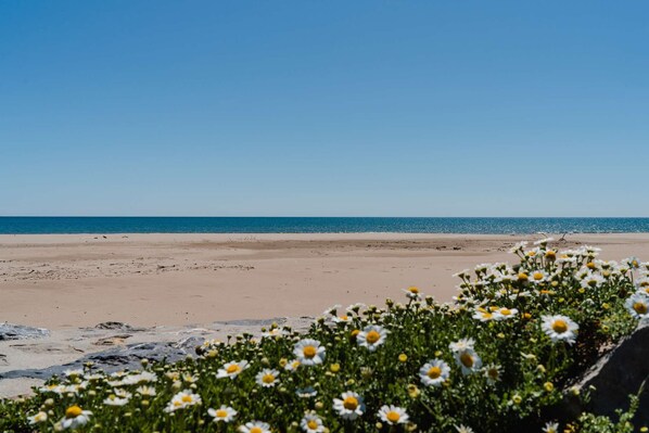 Tæt på stranden