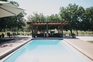 Outdoor pool - Wine Lovers Retreat Amidst Shenandoah Valley with Pool (Plymouth)