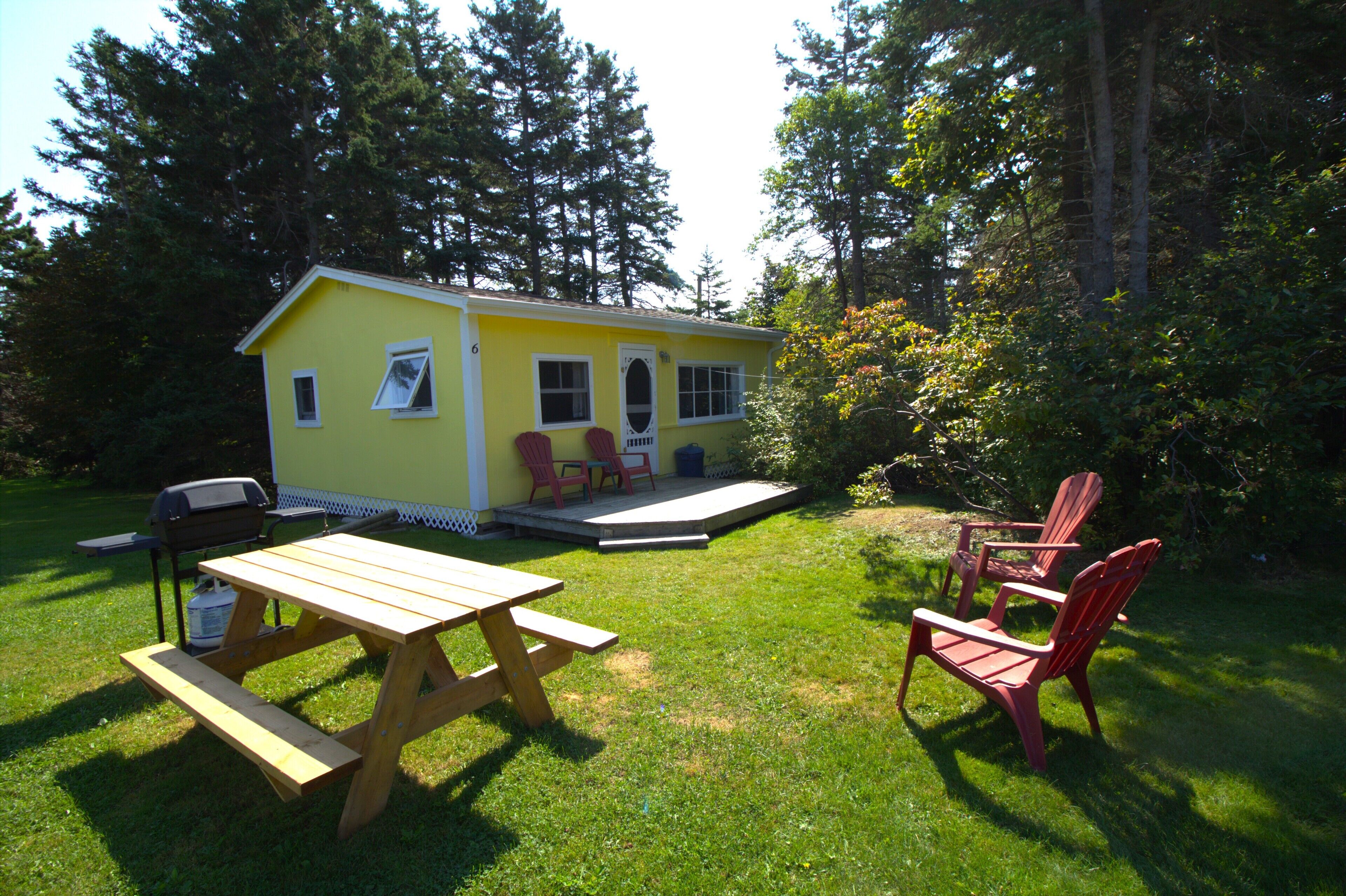A small yellow cabin with a picnic table and two red Adirondack chairs in a grassy yard surrounded by trees.